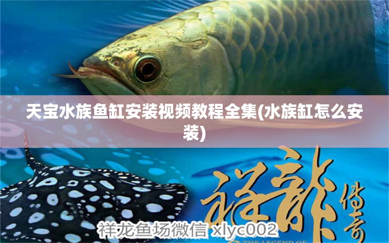 天宝水族鱼缸安装视频教程全集(水族缸怎么安装) 定时器/自控系统