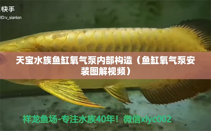 天宝水族鱼缸氧气泵内部构造（鱼缸氧气泵安装图解视频）