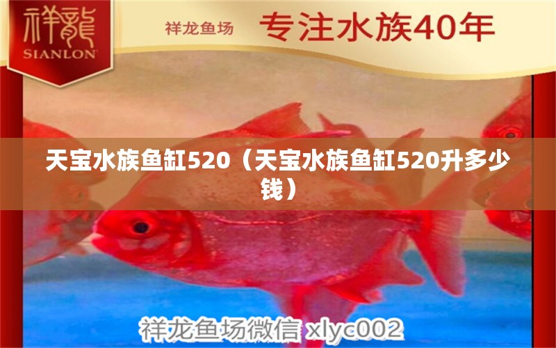 天宝水族鱼缸520（天宝水族鱼缸520升多少钱）