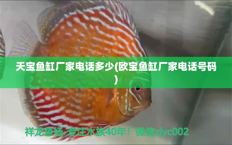 天宝鱼缸厂家电话多少(欧宝鱼缸厂家电话号码) 电鳗 第1张