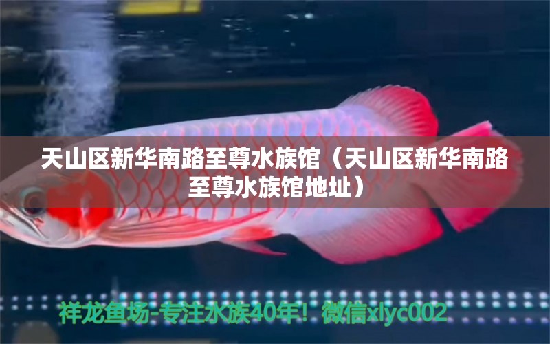 天山区新华南路至尊水族馆（天山区新华南路至尊水族馆地址） 全国水族馆企业名录