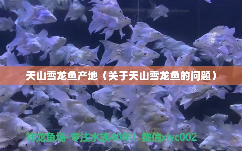 天山雪龙鱼产地（关于天山雪龙鱼的问题） 水族问答 第1张