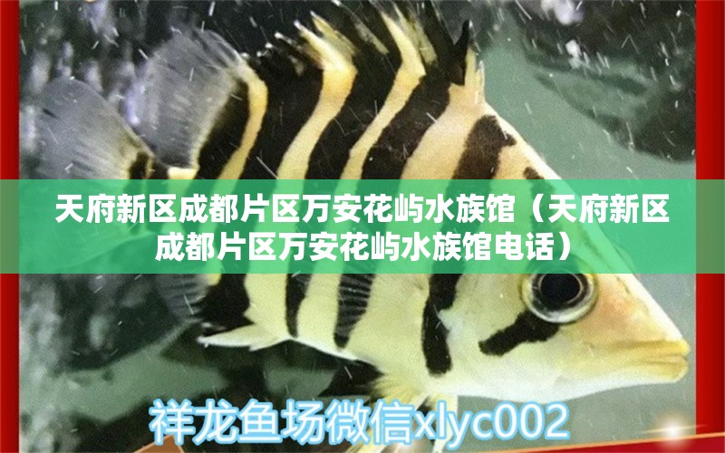 天府新区成都片区万安花屿水族馆（天府新区成都片区万安花屿水族馆电话）