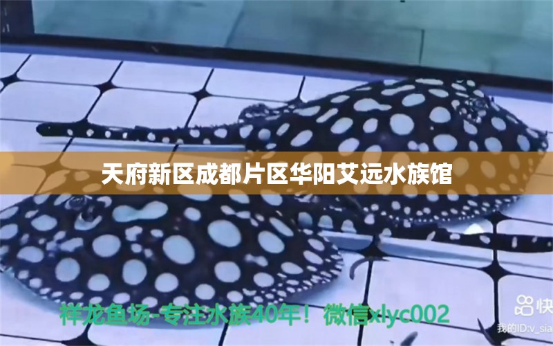 天府新区成都片区华阳艾远水族馆