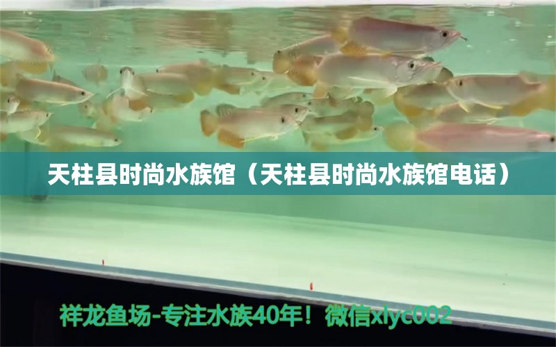 天柱县时尚水族馆（天柱县时尚水族馆电话） 全国水族馆企业名录