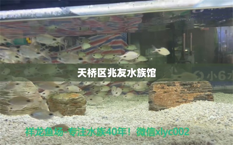 天桥区兆友水族馆