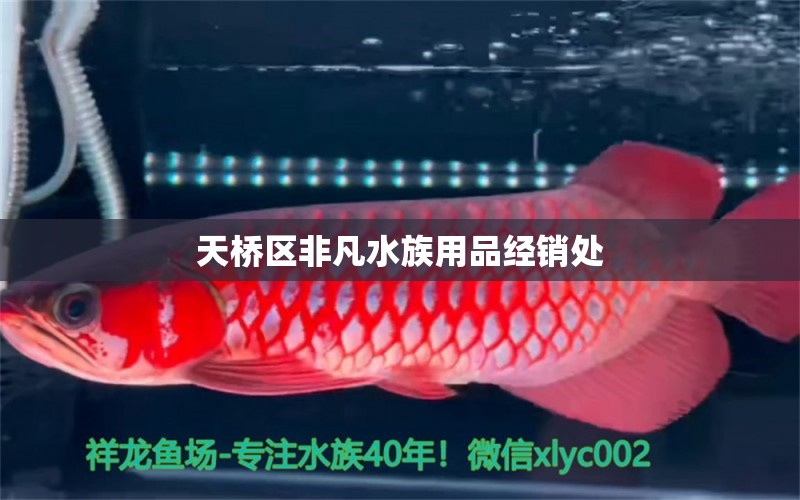 天桥区非凡水族用品经销处