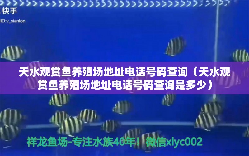 天水观赏鱼养殖场地址电话号码查询（天水观赏鱼养殖场地址电话号码查询是多少） 鱼缸百科