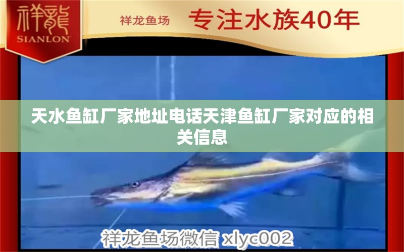 天水鱼缸厂家地址电话天津鱼缸厂家对应的相关信息 申古银版鱼