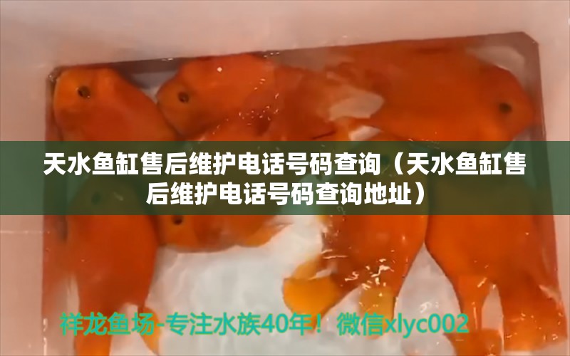 天水鱼缸售后维护电话号码查询（天水鱼缸售后维护电话号码查询地址）