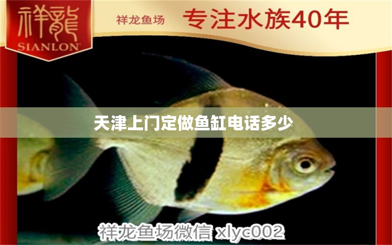 天津上门定做鱼缸电话多少  祥龙水族护理水