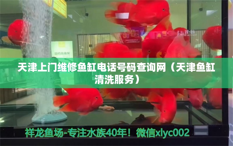 天津上门维修鱼缸电话号码查询网（天津鱼缸清洗服务） 森森鱼缸