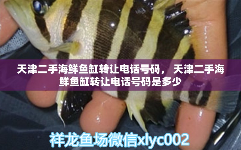 天津二手海鲜鱼缸转让电话号码， 天津二手海鲜鱼缸转让电话号码是多少