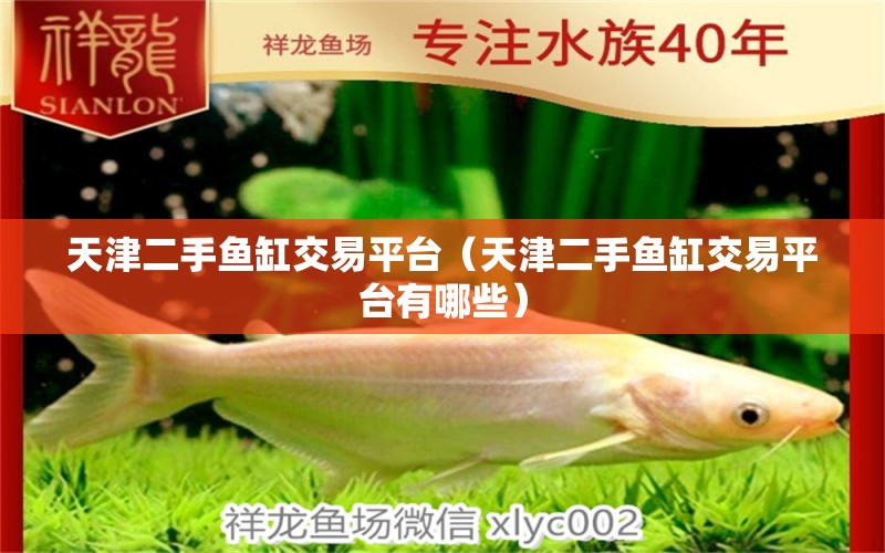 天津二手鱼缸交易平台（天津二手鱼缸交易平台有哪些） 祥龙水族医院