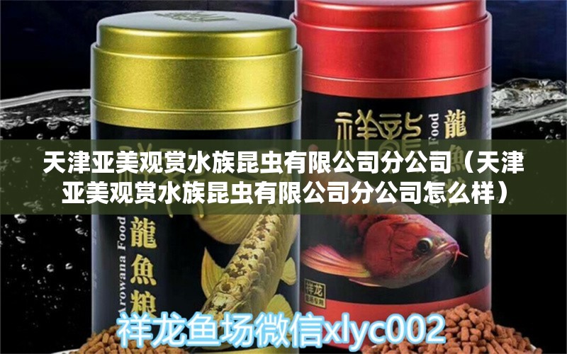 天津亚美观赏水族昆虫有限公司分公司（天津亚美观赏水族昆虫有限公司分公司怎么样）