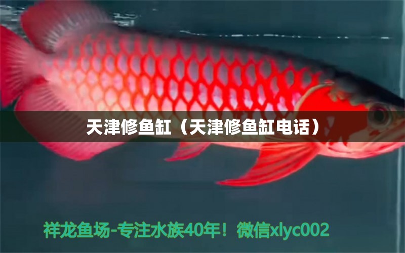 天津修鱼缸（天津修鱼缸电话） 其他品牌鱼缸