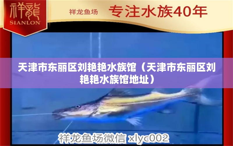 天津市东丽区刘艳艳水族馆（天津市东丽区刘艳艳水族馆地址）