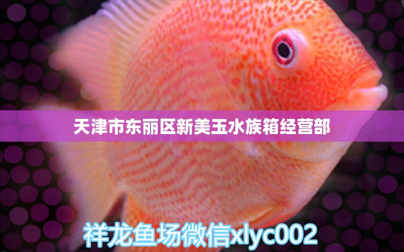 天津市东丽区新美玉水族箱经营部