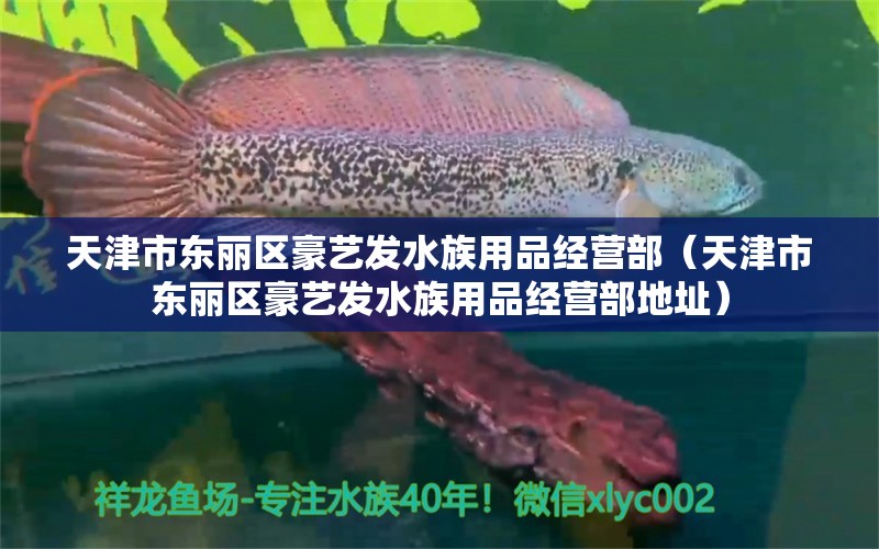 天津市东丽区豪艺发水族用品经营部（天津市东丽区豪艺发水族用品经营部地址）