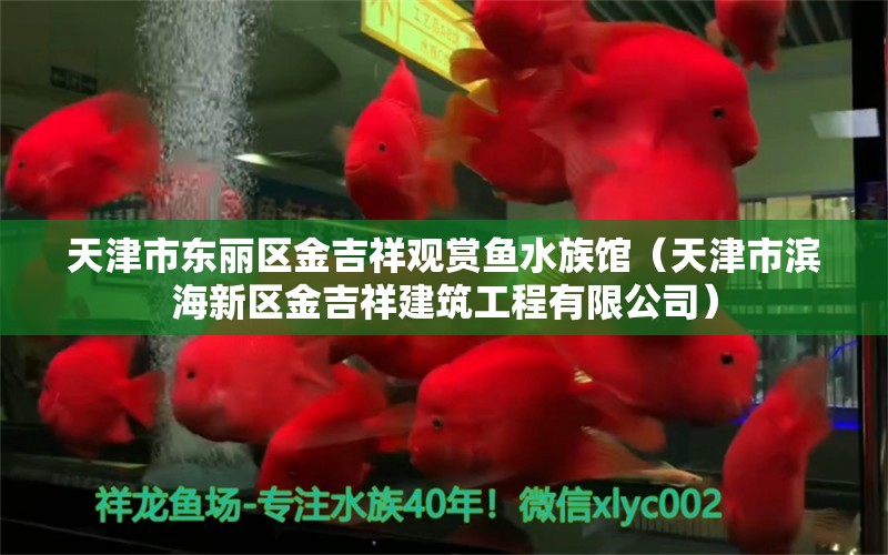 天津市东丽区金吉祥观赏鱼水族馆（天津市滨海新区金吉祥建筑工程有限公司）