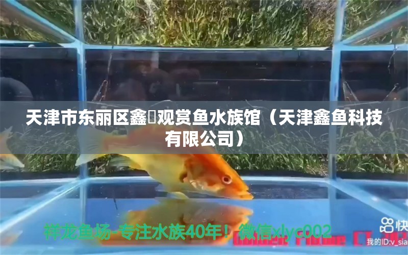 天津市东丽区鑫鱻观赏鱼水族馆（天津鑫鱼科技有限公司） 全国水族馆企业名录