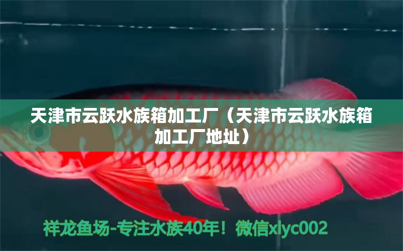 天津市云跃水族箱加工厂（天津市云跃水族箱加工厂地址） 鱼缸/水族箱