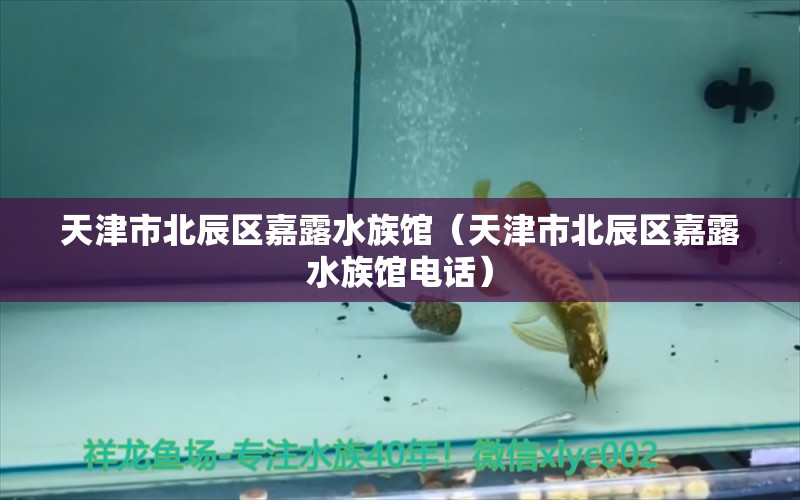 天津市北辰区嘉露水族馆（天津市北辰区嘉露水族馆电话） 全国水族馆企业名录