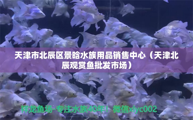 天津市北辰区景晗水族用品销售中心（天津北辰观赏鱼批发市场）