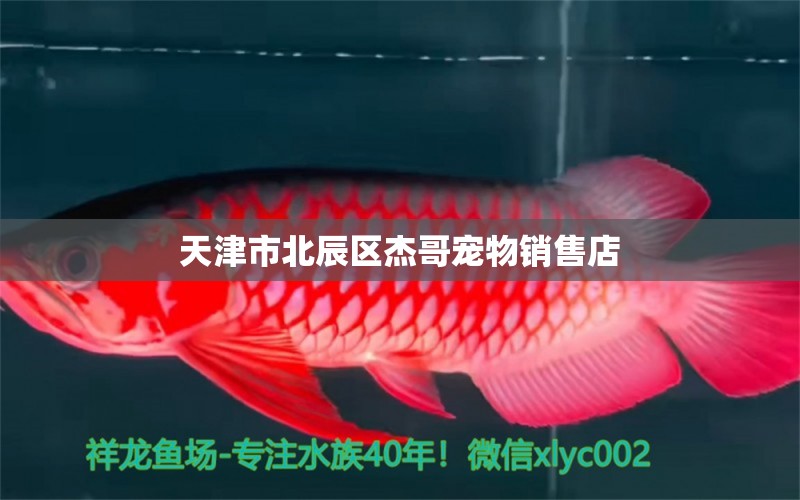 天津市北辰区杰哥宠物销售店 全国水族馆企业名录