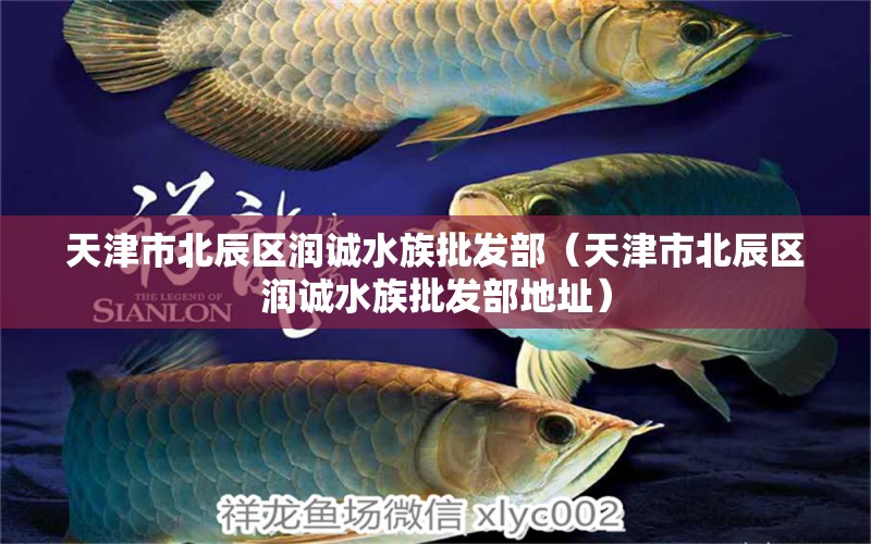 天津市北辰区润诚水族批发部（天津市北辰区润诚水族批发部地址） 全国水族馆企业名录