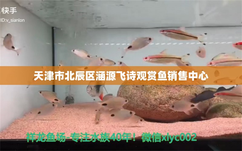 天津市北辰区涵源飞诗观赏鱼销售中心 全国水族馆企业名录