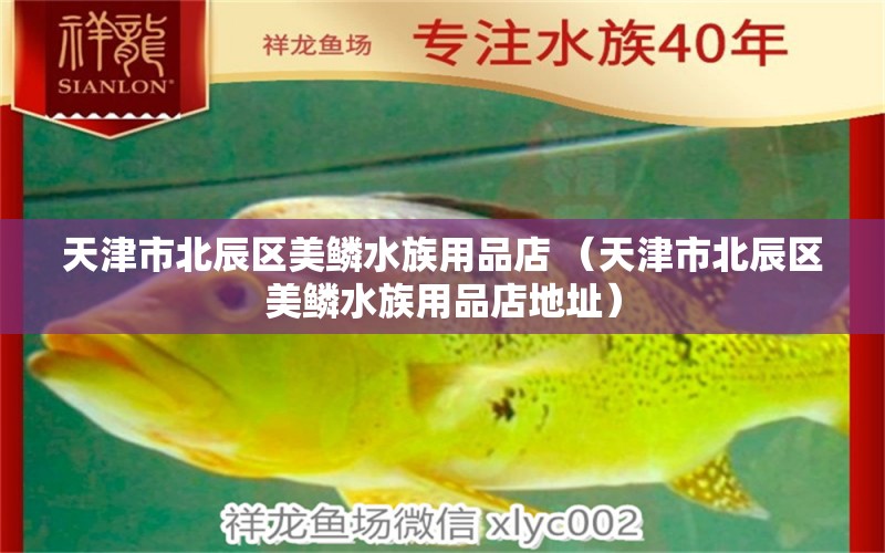 天津市北辰区美鳞水族用品店 （天津市北辰区美鳞水族用品店地址）