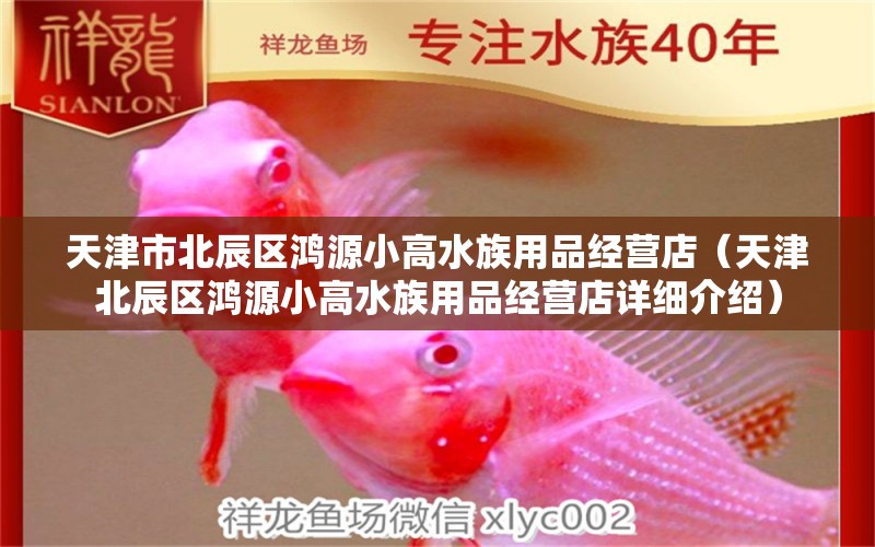 天津市北辰区鸿源小高水族用品经营店（天津北辰区鸿源小高水族用品经营店详细介绍） 全国观赏鱼市场 第2张