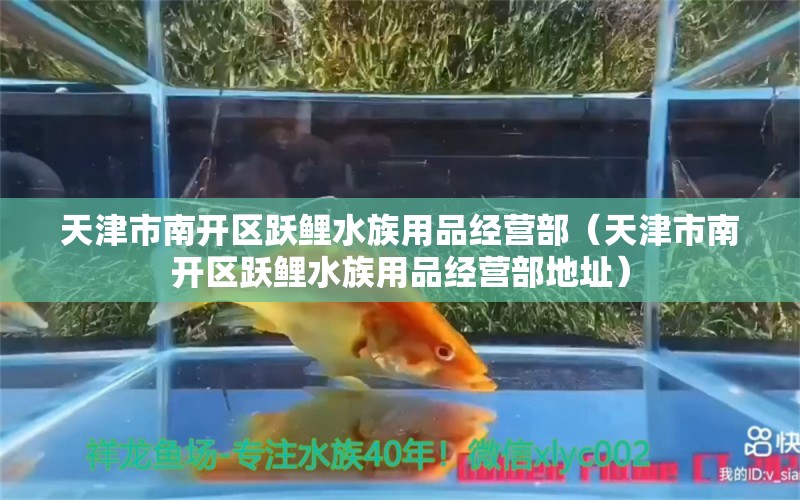 天津市南开区跃鲤水族用品经营部（天津市南开区跃鲤水族用品经营部地址）