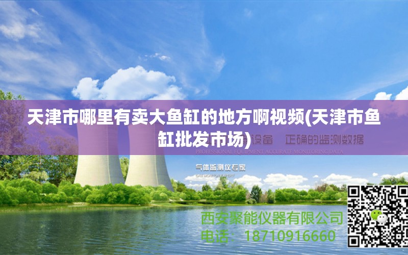 天津市哪里有卖大鱼缸的地方啊视频(天津市鱼缸批发市场) 网上购买观赏鱼