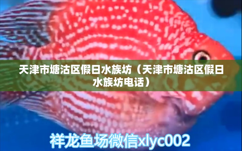 天津市塘沽区假日水族坊（天津市塘沽区假日水族坊电话）