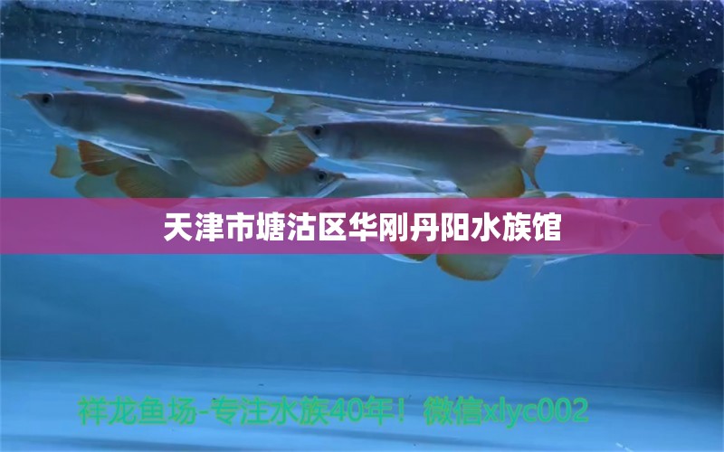 天津市塘沽区华刚丹阳水族馆 全国水族馆企业名录