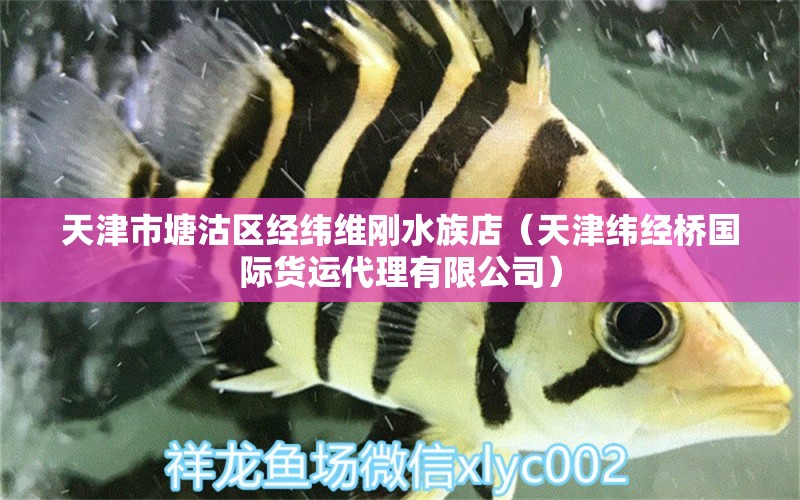 天津市塘沽区经纬维刚水族店（天津纬经桥国际货运代理有限公司）