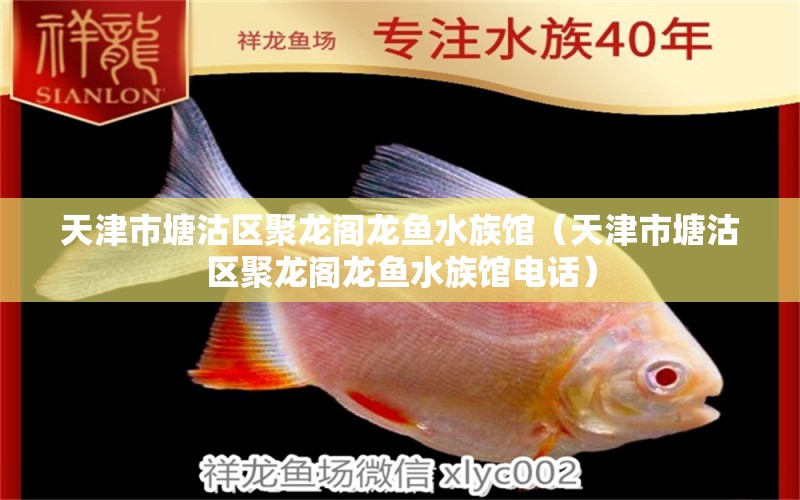 天津市塘沽区聚龙阁龙鱼水族馆（天津市塘沽区聚龙阁龙鱼水族馆电话）