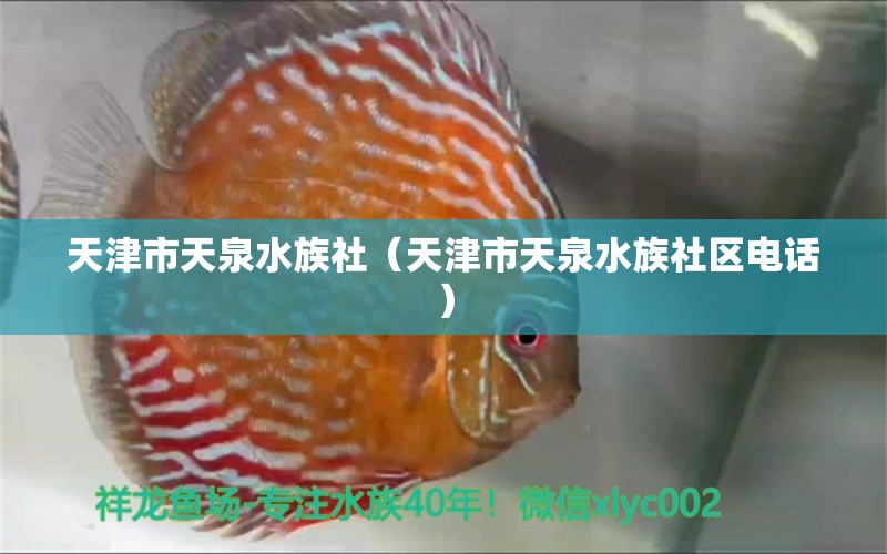 天津市天泉水族社（天津市天泉水族社区电话） 全国水族馆企业名录