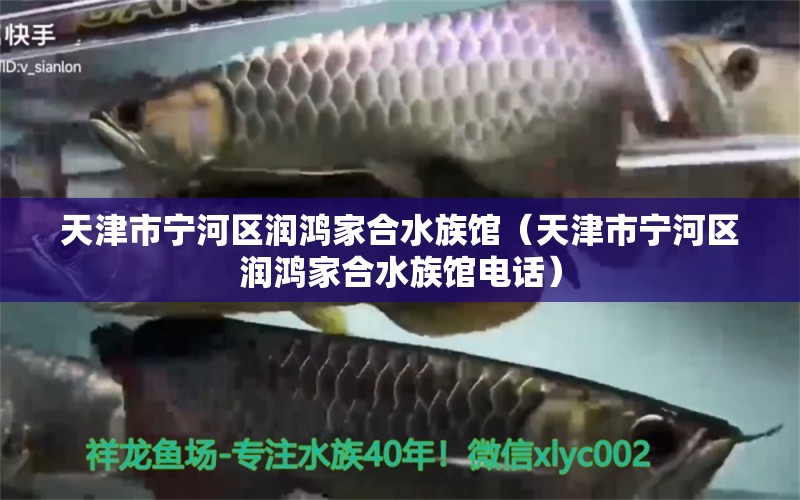 天津市宁河区润鸿家合水族馆（天津市宁河区润鸿家合水族馆电话） 全国水族馆企业名录