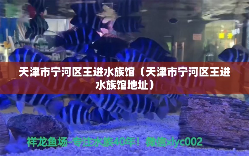 天津市宁河区王进水族馆（天津市宁河区王进水族馆地址）