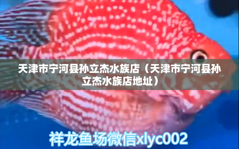 天津市宁河县孙立杰水族店（天津市宁河县孙立杰水族店地址）