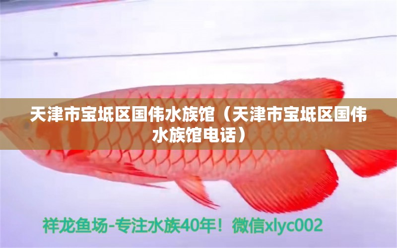 天津市宝坻区国伟水族馆（天津市宝坻区国伟水族馆电话）