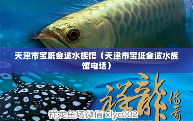 天津市宝坻金波水族馆（天津市宝坻金波水族馆电话） 全国水族馆企业名录