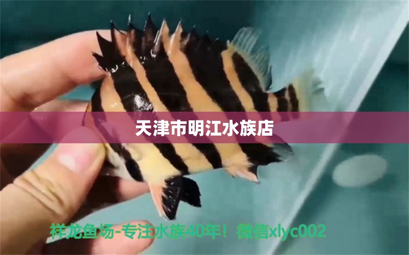 天津市明江水族店 全国水族馆企业名录