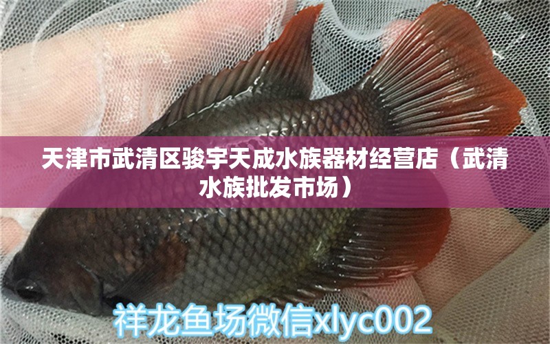 天津市武清区骏宇天成水族器材经营店（武清水族批发市场）