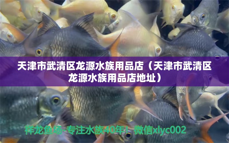 天津市武清区龙源水族用品店（天津市武清区龙源水族用品店地址）