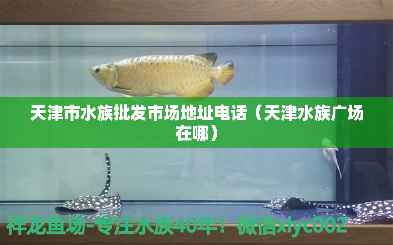 天津市水族批发市场地址电话（天津水族广场在哪）