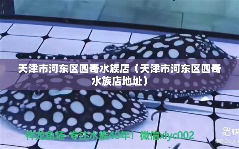 天津市河东区四奇水族店（天津市河东区四奇水族店地址） 全国水族馆企业名录